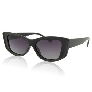 Солнцезащитные очки Leke Polar LK26013 C1 черный черный