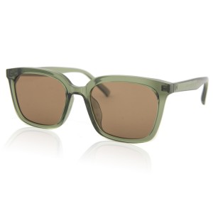 Солнцезащитные очки SumWin Polar 7231 C6 хаки прозрачный коричневый